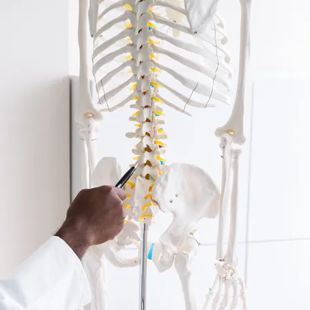 Chiropractic Chanhassen MN Scoliosis